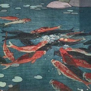 Meet your Posher, Ellen